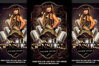 声色之夜夜店海报