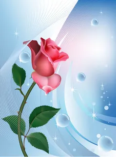 矢量玫瑰花 矢量玫瑰花