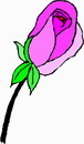 花朵鲜花_890eps,ai矢量模版下载