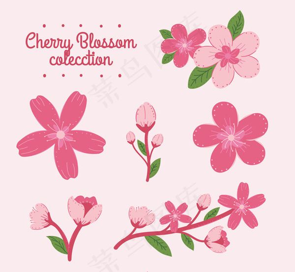 粉色樱花和花枝