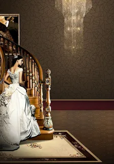 贵族房地产广告