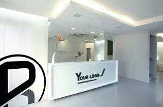 公司形象LOGO样机