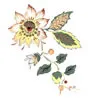 PSD精美花纹_60psd模版下载