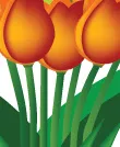 郁金香ai矢量模版下载