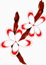 花朵鲜花_624eps,ai矢量模版下载