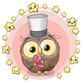 猫头鹰和小星星