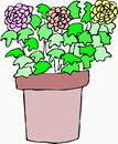 花朵鲜花_493eps,ai矢量模版下载