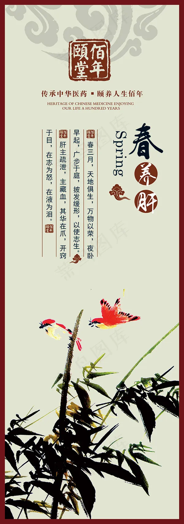 中医养生春养肝psd模版下载