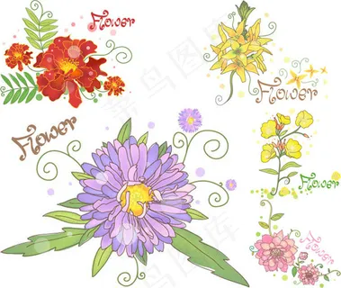 花朵花卉绿叶 花朵花卉绿叶