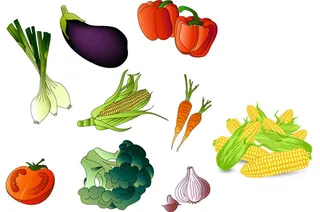 矢量常见蔬果