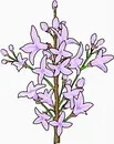 花朵鲜花_407eps,ai矢量模版下载