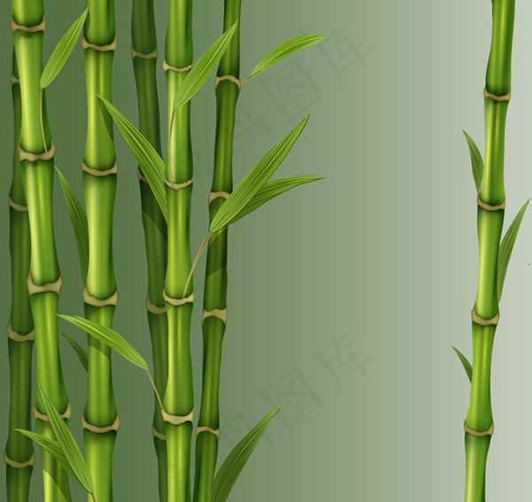绿色竹子矢量