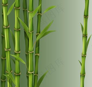 绿色竹子矢量