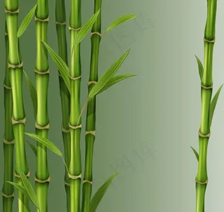 绿色竹子矢量