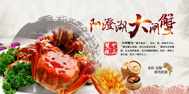 阳澄湖大闸蟹海报