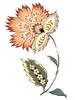 PSD精美花纹_65psd模版下载