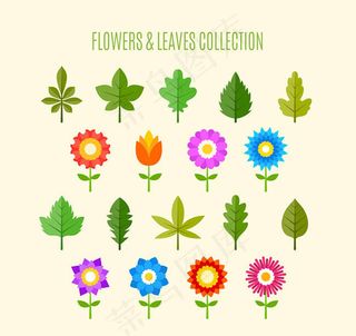 花朵和叶子矢量