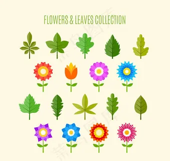 花朵和叶子矢量 花朵和叶子矢量