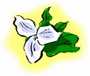 花朵鲜花_550eps,ai矢量模版下载