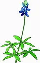 花朵鲜花_627eps,ai矢量模版下载