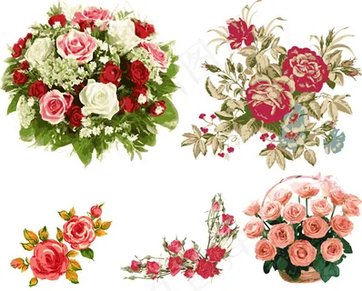 玫瑰花束矢量 玫瑰花束矢量