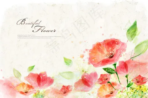 唯美鲜花插画