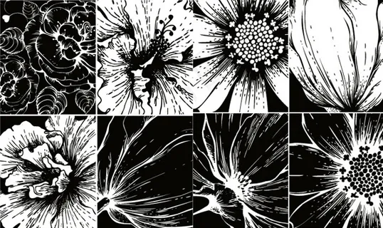 版画花朵矢量 版画花朵矢量