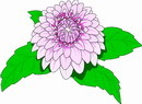 花朵鲜花_379eps,ai矢量模版下载
