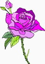 花朵鲜花_311eps,ai矢量模版下载