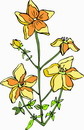 花朵鲜花_206eps,ai矢量模版下载