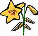 花朵鲜花_852eps,ai矢量模版下载