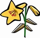 花朵鲜花_852eps,ai矢量模版下载