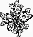 花朵鲜花_1095eps,ai矢量模版下载