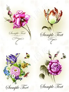 绽放艳丽鲜花 绽放艳丽鲜花