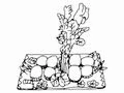 美食佳肴_767 美食佳肴_767