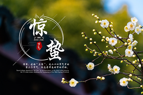 惊蛰节气海报psd模版下载