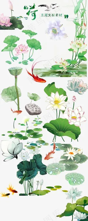荷花免抠图 荷花免抠图