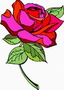 花朵鲜花_261eps,ai矢量模版下载