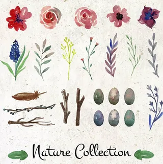 彩绘植物和鸟蛋,免抠元素