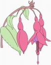 花朵鲜花_243eps,ai矢量模版下载