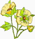 花朵鲜花_113eps,ai矢量模版下载