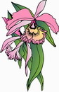 花朵鲜花_17eps,ai矢量模版下载