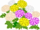 花朵鲜花_7eps,ai矢量模版下载