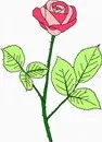 花朵鲜花_772eps,ai矢量模版下载