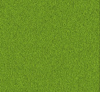 绿色草地底纹背景