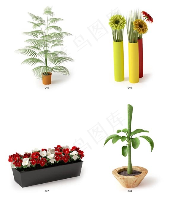 小植物模型,免抠元素