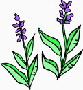 花朵鲜花_237eps,ai矢量模版下载