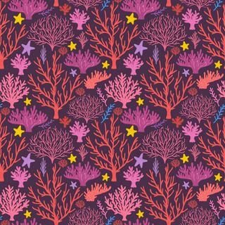 珊瑚和海星背景