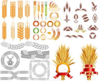 麦穗图案矢量