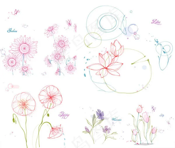 郁金香花与莲花ai矢量模版下载